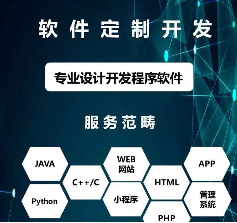 软件定制开发，引领企业数字化变革新篇章
